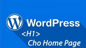 Cách tạo thẻ H1 cho trang chủ web wordpress